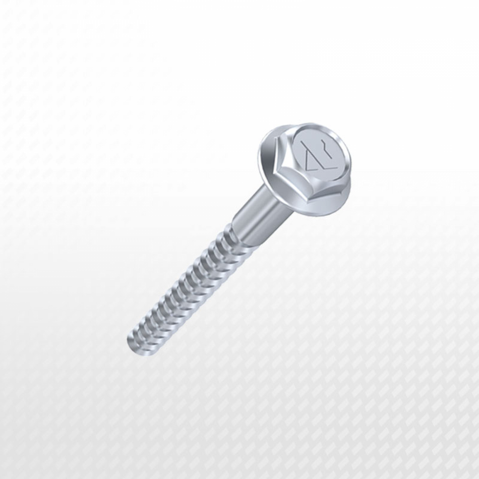 Kit de montaje – Tornillo + Taco de pared