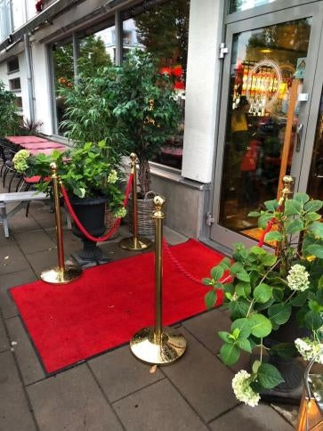 (4 Pack) - paquete de entrada VIP de Flexibarrier que incluye postes, cuerdas y alfombra